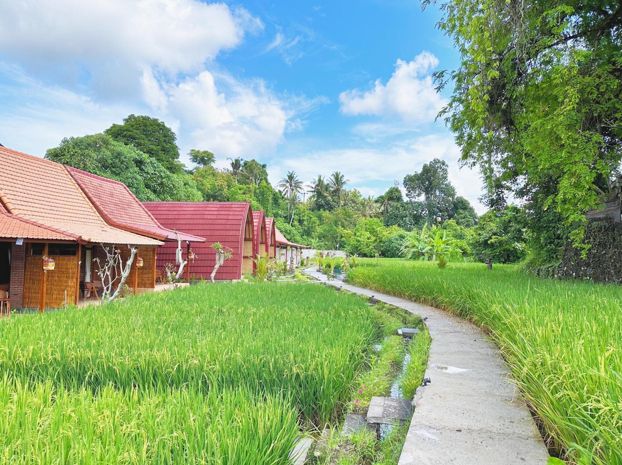 Uma Raos Cottage Ubud  Luaran gambar